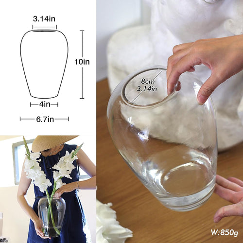 10 Inch Large Glass Vase for Centerpieces,Modern Clear Tall Vase Decorative for Flower,Home Decor,Wedding,Living Room,Dining Table, Office,Entryway, Shelf, Birthday, Housewarming Gift